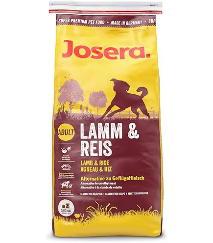Hondenbrokken voor kleine honden