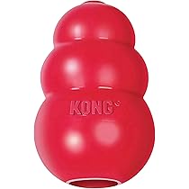 Wolters Cat&Dog Professional Führleine – Größe XL, 300 Cm Lang, 25 Mm Breit, Schwarz, Doppellagig