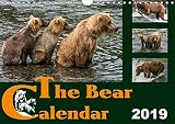  The Bear Calendar / UK-Version 2019: Brown Bears - 36 fascinating photos in a calendar (Calvendo Animals)