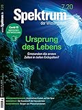 Spektrum der Wissenschaft