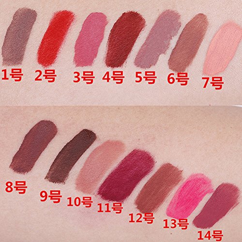 Blue Vessel Wasserdichte Lippenstift Langlebige Matte Lip Gloss Lip Liner Kosmetik Schönheit (12#) - 2