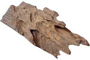 Natunae Legno Acquario Acqua Dolce Piccolo, Decorazione Naturale per Terrario, Rettili, Vivario e Paludario (S) 15-25 cm