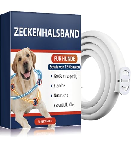mein halsband ilsfeld Taktisches Hundehalsband mit Griff - Orange