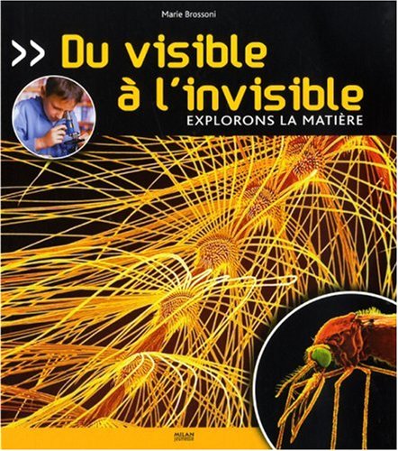 couverture de : Du visible &agrave; l'invisible