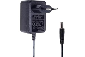 BNBBSC 6V 1A Ladegerät für Kinder Elektrofahrzeuge, kompatibel mit 6V Blei-Säure-Batterien für Spielzeugautos, Motorräder, ATVs – DC Rundstecker 2,1mm x 5,5mm