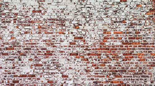 Vlies Fototapete 500×280 cm – Top – Tapete – Wandbilder XXL – Wandbild – Bild – Fototapeten – Tapeten – Wandtapete – Wand – Ziegel Mauer mehrfarbig Ziegelstein Steine f-A-0452-a-a - 2