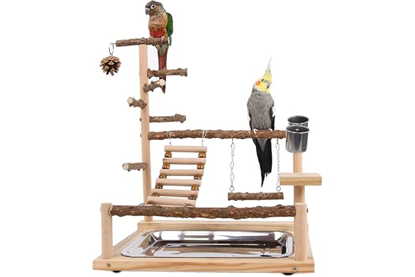 WishesMar Aire de Jeux pour Oiseaux Terrain de Jeu pour Perroquet avec Support Perchoirs Gobelet d'alimentation Balançoire Échelle et Plateau pour Calopsitte Cockatiel, Bois, Taille 45x37x26 CM #A