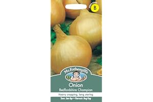 Mr Fothergills Seeds Ltd 19974 Vegetable Seeds, Onion Bedfordshire Champion, Brown,Yellow