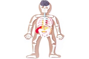 Defieltro Cuerpo Humano de Fieltro con Huesos y Órganos - Montessori el Cuerpo Humano Desmontable en Partes - Juegos de Anatomia para Niños - Juguete Educativo Esqueleto Humano