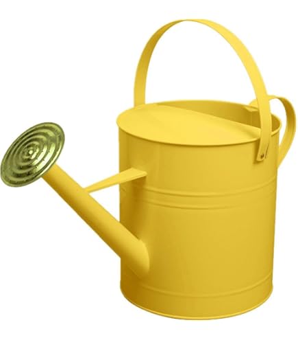 CKB LTD Outdoor Watering Can Metal Galvanised Steel With Brass Rose For Large Small Gardens Flowers And Plants Heavy Duty Rustproof 1.5L