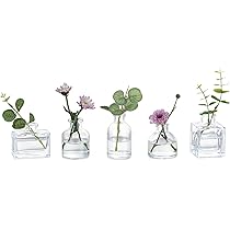 Set di mini vasi, 10 piccoli vasi in vetro, decorazione vintage, diverse misure, per decorazione da tavolo, centrotavola, decorazioni per matrimon