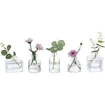 Glasseam - Set Di 20 Mini Vasi In Vetro Trasparente Per Fiori E Centrotavola - Piccoli Vasetti Decorativi Con Rilievi Unici - Ideali Per Matrimoni, Bomboniere E Decorazione Casa