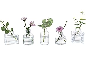 Glasseam Small Bud Vases for Flowers: 5pcs Glass Vases Set Lovely Clear Vase for Home Living Room Dining Tables Wedding Party Table Centrepiece Decorations