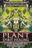 Plant Spirit Healing: A Guide to Working with Plant Consciousness (English Edition) by