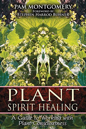 Plant Spirit Healing: A Guide to Working with Plant Consciousness (English Edition)