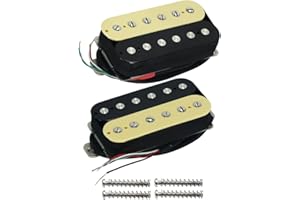 FLEOR Pickup per chitarra Alnico 5 Set di pickup Humbucker al manico e al ponte Zebra