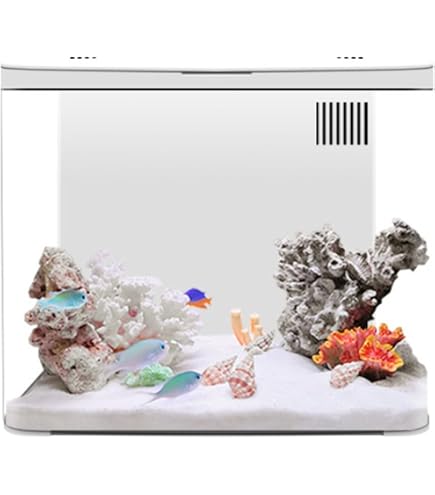 Acquario Da Tavolo Moderno E Silenzioso - Vetro Trasparente Con Pompa Ad Aria, Ideale Per Pesci Rossi, Tartarughine E Piante Acquatiche