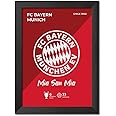 TenorArts Bayern Munich Poster Frame Football Club Logo Laminated Poster Painting with Matt Finish Black Frame (9"x 12")