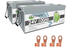 TCBWORTH 24V 100AH ​​LiFePO4 Batterie Grade A Zellen mit BMS Deep Cycle 10000+ Mal, geeignet für Solar, Wohnmobil, Anhänger, Trolling-Motor, Boot, Standserie und Parallel，2 Stück