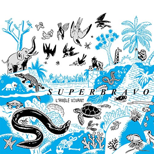 couverture de : L'Angle vivant