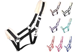 NETPROSHOP Solides Pferdehalfter gepolstert und verstellbar Gr. Mini Shetty bis Full u Kaltblut, Groesse:Shetty, Farbe:Schwarz