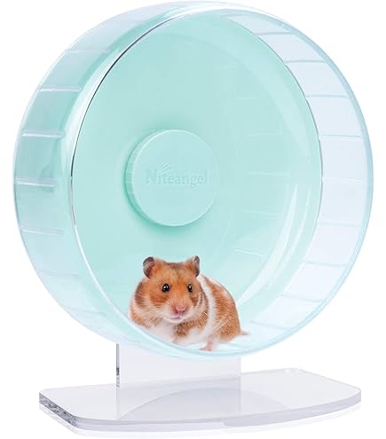 BUCATSTATE Hamsterwiel Slient 32 cm, acryl hamster oefenwiel met stabiele verstelbare standaard loopwiel voor Golden Bear Hamster, Sugar Gliders, ratten, egels en andere kleine dieren