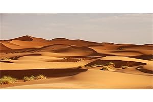 MIRRORANG 61x30cm Fond de Terrarium Fond d'habitat de Reptile du désert Orange Fond de Vinyle Durable