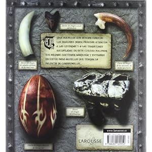 Los secretos de los Dragones (Larousse - Infantil / Juvenil - Castellano - A Partir De 8 Años)