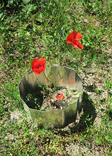 Frühlingsangebot 10 m Rasenkante Beeteinfassung Beetumrandung Beeteinfassung Metall 16 cm - 5