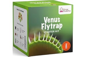 GROW BUDDHA Grow Your own Venus Flytrap Kit – Easily Grow Carnivorous Venus Flytrap Plants with our Beginner friendly Venus Flytrap Kit - Unique Seed Kit Gift idea