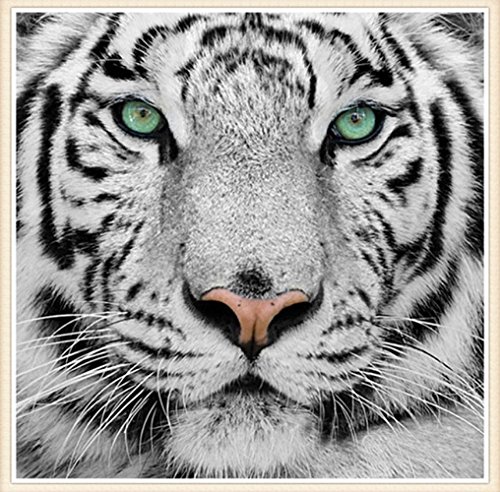 Set Diamond Painting Strass Mosaik Bild Basteln Bastelset Steine Tiger Kopf 30cm