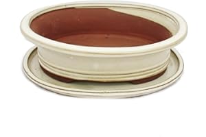 Exotenherz - Bonsai-Schale mit Unterteller Gr. 4 - hellbeige - oval - Modell O4 - L 25cm - B 20cm - H 8cm