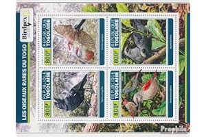 Togo 8184-8187 Blad (fullständigt. problem) 2017 Sällsynt Fåglar av Togo (Frimärken för samlare) Fåglar