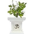 Gardenix Decor Global Trade & Utility Products Tulsi Planter Marble Look Size: Size: Height: 10 inch, Width: 10 inch, Length: 10 inch