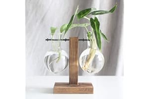FIORKY Glass Planter Bulb Vase, Desktop Air Plant Terrarium Kit with Retro Solid Wooden Stand, Plant Propagation Stations Terrarium for Indoor Water Plants Home Garden Office Decoration Accessories