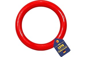 Best Sporting Anneaux de plongée pour enfants 14 cm I Anneaux de plongée pour enfants Idéal pour les hippocampes et autres I Jouet de plongée pour enfants I Anneaux de plongée pour enfants I Anneau de