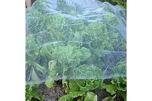 Atoke Garden Netting 2x10m, Fine Mesh Plant covers Mosquito Netting for Vegetables Plants Fruits Flowers Crops Greenhouse Row Raised Bed Barrier Screen Birds Insect Protection Netting
