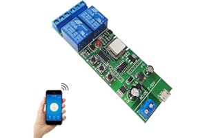EACHEN Módulo Relé Wifi funziona con Alexa/Google Home/Ewelink/IFTTT, Interruttore WiFi per fai-da-te qualsiasi dispositivo per la casa intelligente - porta del garage, luce, ventilatore (ST-DC2)