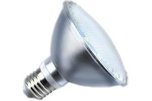 Luxvista LED Ampoule de réflecteur E27 PAR30 PAR38 12W Par30 Blanc Chaud