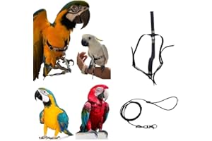 BLUSUPERSHOP PETTORINA REGOLABILE PER PAPPAGALLI MISURA ARA O CACATUA elastico 10 mm 2 attacchi ACCIAIO REGOLABILI GUINZAGLIO 3mm nero PR (nera)