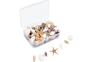 Daleweo Dekorativa Snäckor, Set Över 35 Stycken Med Sjöstjärna För Hantverk, Marina Dekorationer För Vaser, Presentidé Med Box (40, Större Storlek, Nettovikt: 33 g)