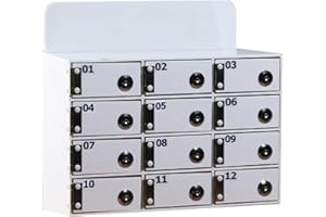 LVRUIEDS Custodia per cellulare, con scomparti da 12/15/20/25/30/40, chiusura trasparente per cellulare con serratura, armadietto per cellulare (bianco, 12 slot)