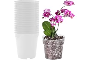 Bncxdc Pot de Fleur, 16 Pcs 11cm Pots de Plantes à arrosage Automatique avec Trous de Drainage, adaptés pour Les Fleurs, Pots de Fleurs en Plastique décoratifs de Mode Moderne dintérieur, Transparent