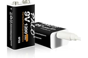 CITYORK Lot de 2 Batteries Rechargeables USB 9 V 1200 mAh Longue durée 9 V avec câble de Charge Micro USB 2 en 1