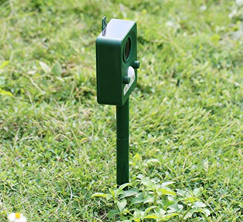 Ruichenxi Ultraschall Vogelabwehr Solar Tiervertreiber, Hundeschreck, Katzenschreck, Marderschreck Tierabwehr Mit PIR Sensor für Outdoor Farm Garten Abschreckung Frequenz einstellbar - 3