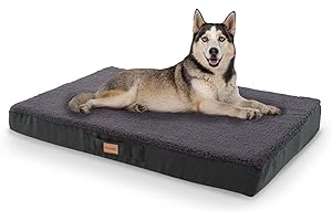brunolie Balu - Lit pour Chien, Lavable, orthopédique et antidérapant, Coussin pour Chien, Peluche, Mousse à mémoire Respirante, Taille L (100 x 65 x 10 cm) - Gris foncé