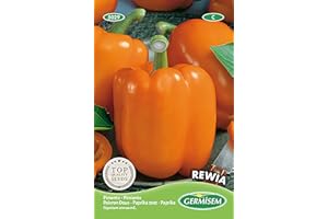 GERMISEM Poivron Doux Rewia