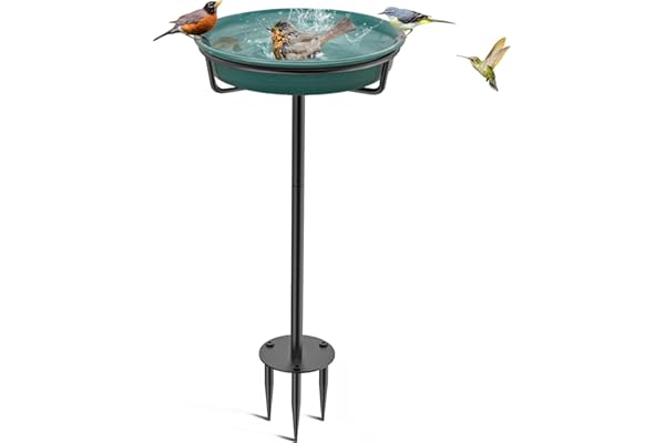 VeyFolzin.st Bains d'oiseaux pour l'extérieur, bains d'oiseaux détachables pour le jardin déstockage, bains d'oiseaux autoportants pour l'extérieur usage intensif, bol bain d'oiseaux spa et mangeoire