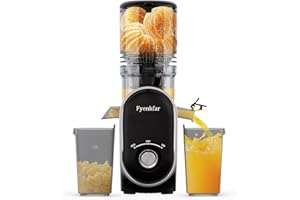 Fyenkfar cold press slow juicer an ideal choice for healthy drinks, retaining nutrients, supporting a diverse diet, and being safe and harmless, suitable for those who love health (black01)