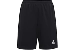 adidas Unisex Entrada 22 Training Shorts Shorts (1/4)